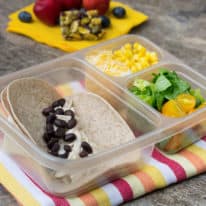 Taco Bento Box
