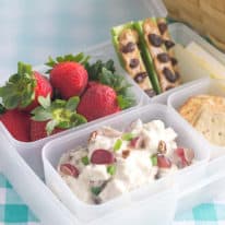 Easy Chicken Salad Picnic Bento Box