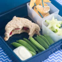 Under the Sea Bento Box Lunch Idea