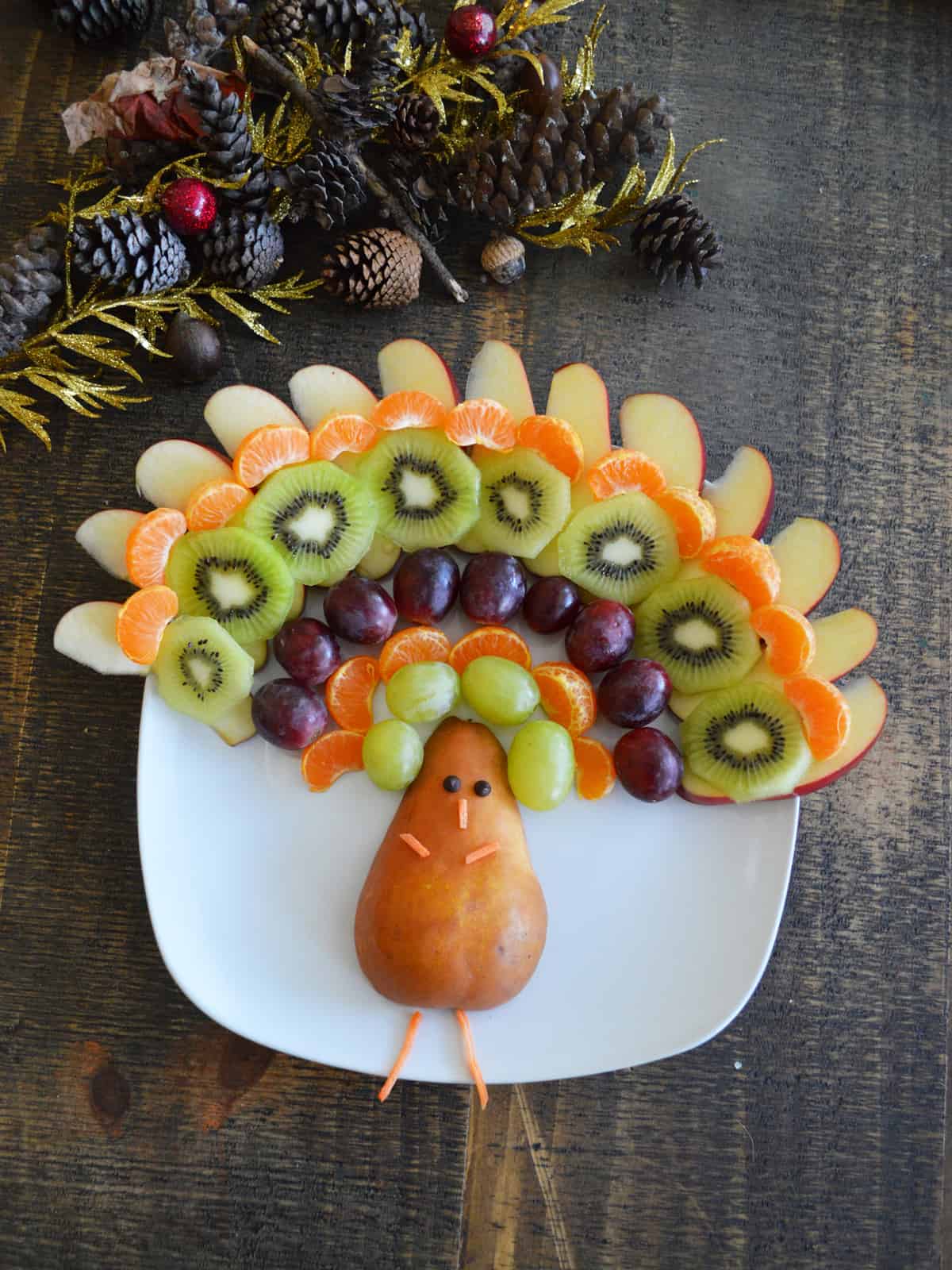 Thanksgiving Turkey Fruit Platter