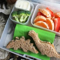 How to Make a Dinosaur Themed Lunchbox