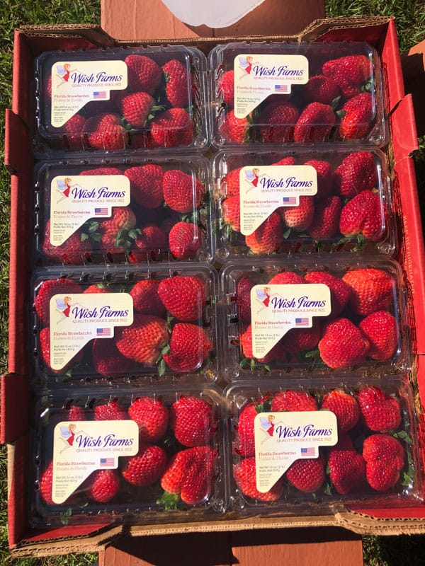 Easy Ways to Preserve Strawberries 
