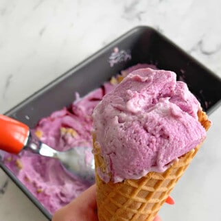 Blueberry Frozen Yogurt