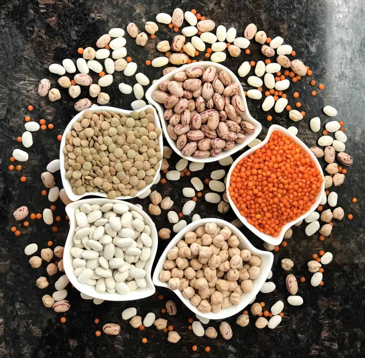 Protein from beans and grains 