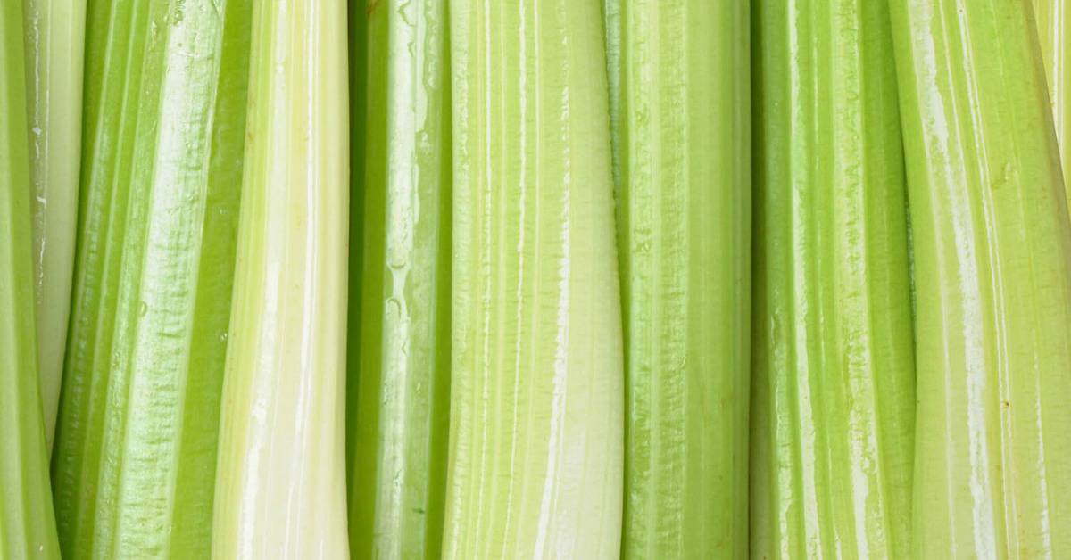 Veggies that last a long time