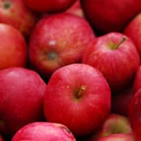 What’s in Season for September?