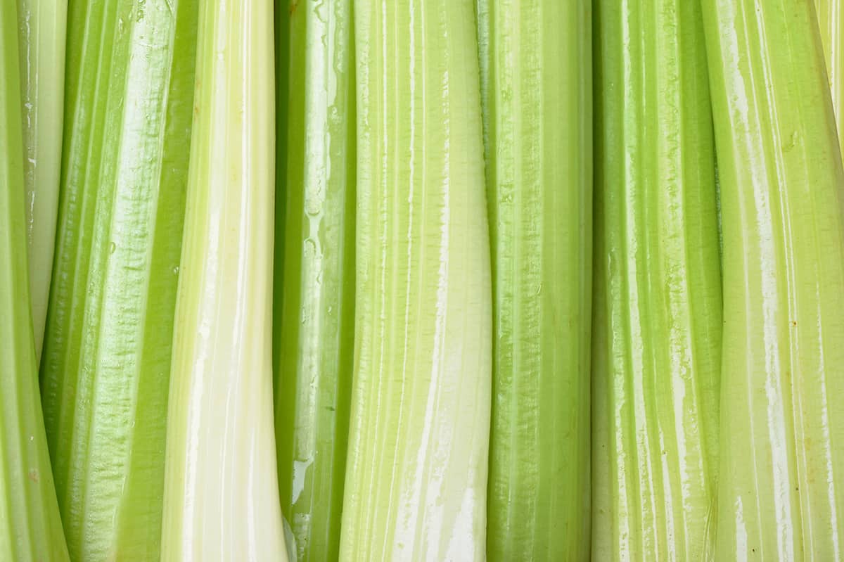 stalks of celert