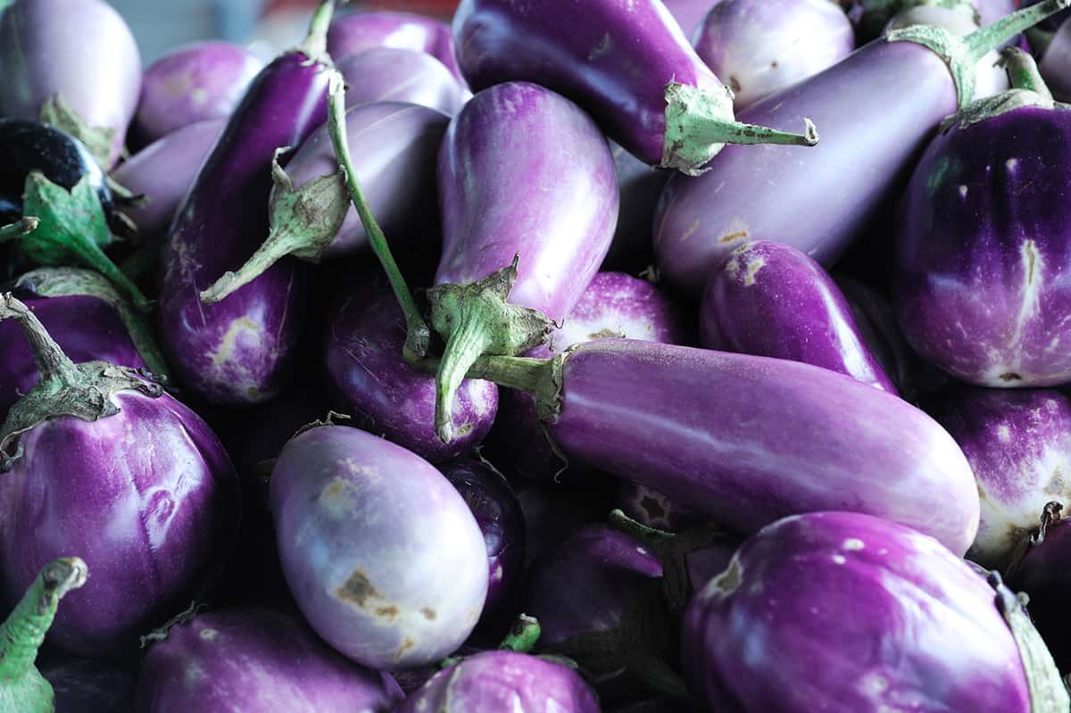 piles of fresh eggplant