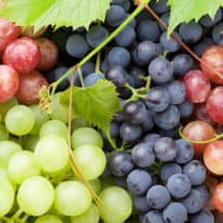 What’s in Season for August?