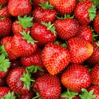 What’s in Season for April?