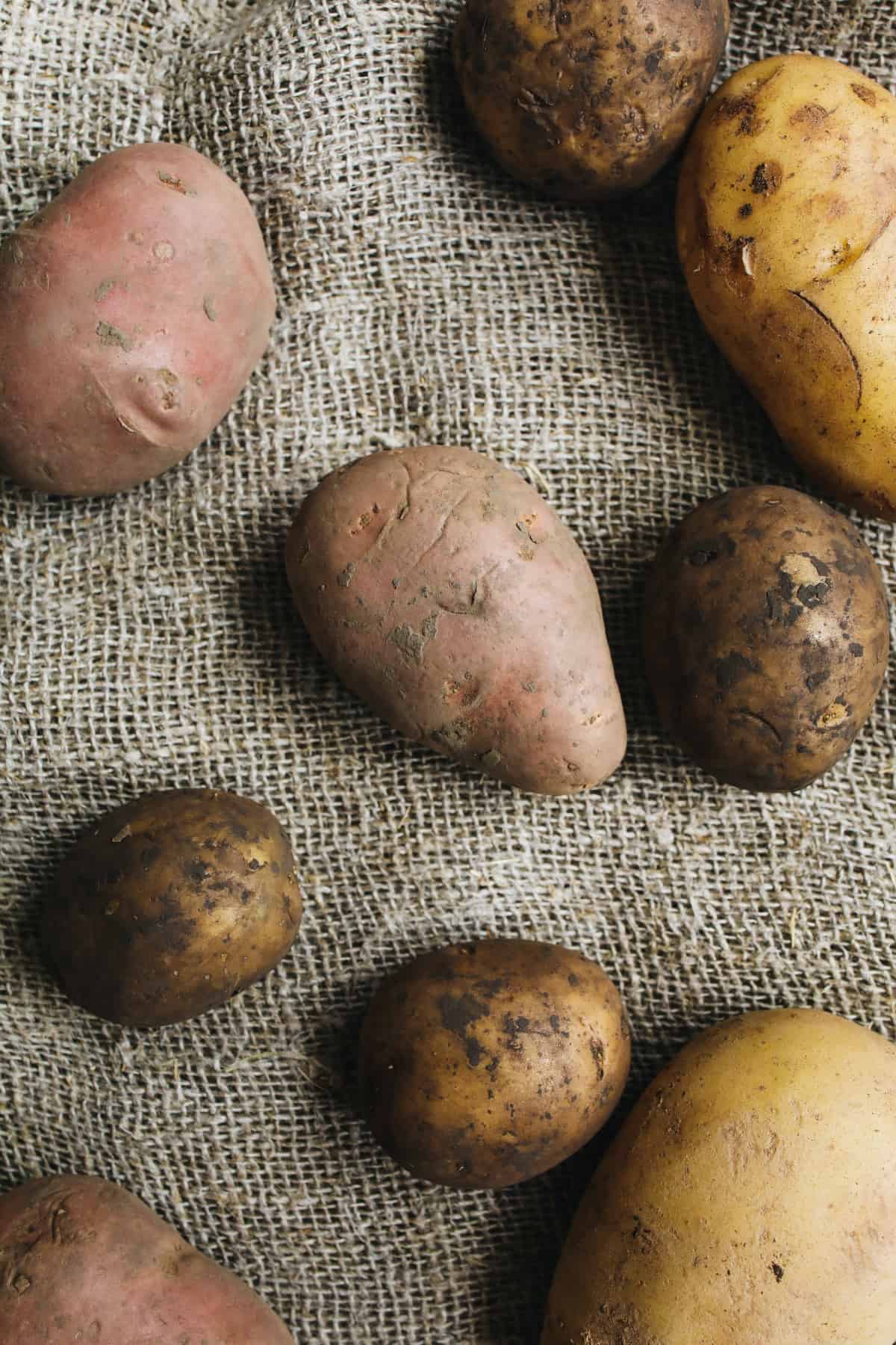 Health Benefits of Sweetpotatoes