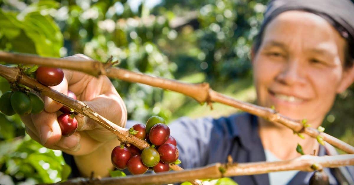 Healthy Family Project Podcast Episode 79: What is Fair Trade?