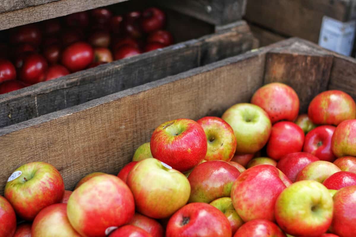 how to store apples